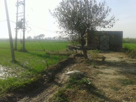 Agriculture Land for Sale Near Banga,Gharshankar Punjab