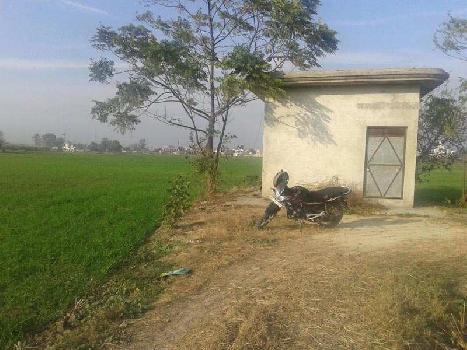 Agriculture Land for Sale Near Banga,Gharshankar Punjab