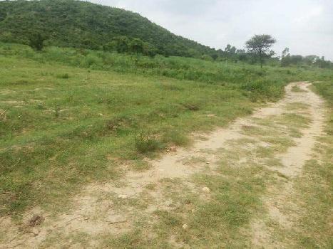 Agricultural Land for Sale in Balachour Punjab