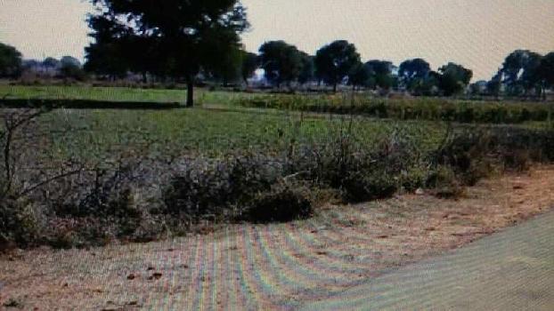 Prime Agriculture land for sale in Madhya Pradesh