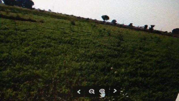 Prime Agriculture land for sale in Madhya Pradesh