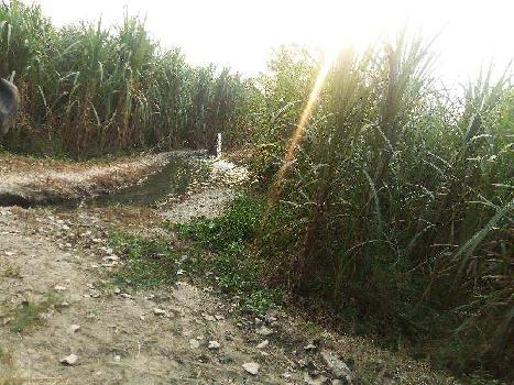 Agriculture land for sale in jalandhar Bhogpur