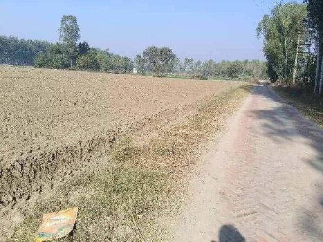 Agriculture , industriail land for sale near sunam