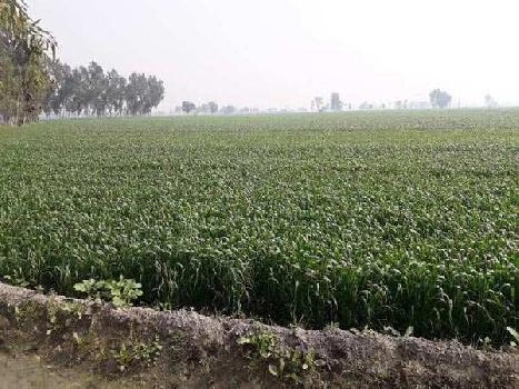 Agriculture land for sale in Balachour