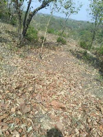 Agriculture land for sale near Dholwaha