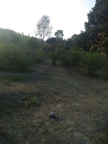 Land with hilly surrounding sale for hobby farmhouse