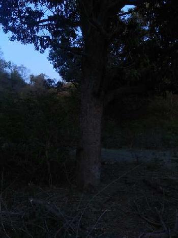 Land with hilly surrounding sale for hobby farmhouse