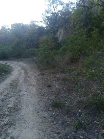 Land with hilly surrounding sale for hobby farmhouse