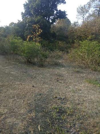 Land with hilly surrounding sale for hobby farmhouse