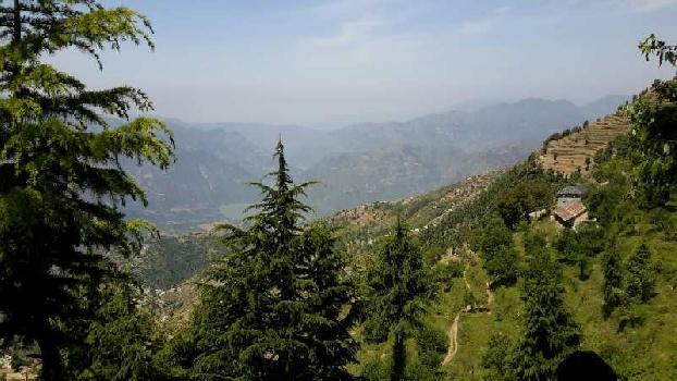 Farm land with apple Orchard in Himachal chamba