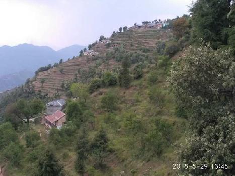 Farm land with apple Orchard in Himachal chamba