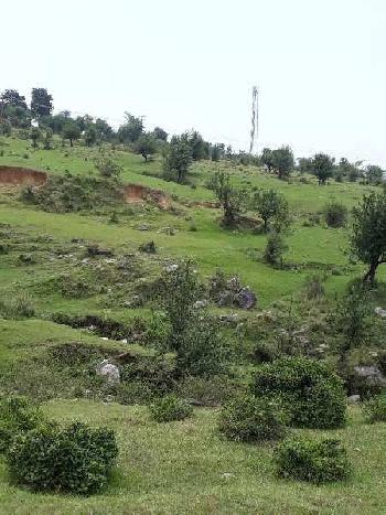 Agricultural/Farm Land for Sale in Palampur