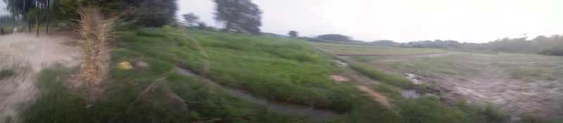 Agricultural/Farm Land for Sale in Garhshanker, Hoshiarpur