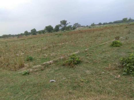 2 BHK Farm House for Sale in Atrauli, Aligarh
