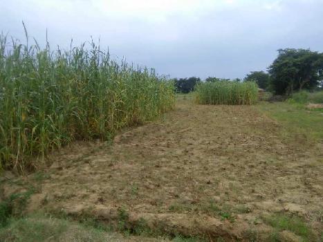2 BHK Farm House for Sale in Atrauli, Aligarh