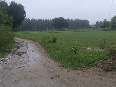 Agriculture land for sale in Hoshiarpur Punjab