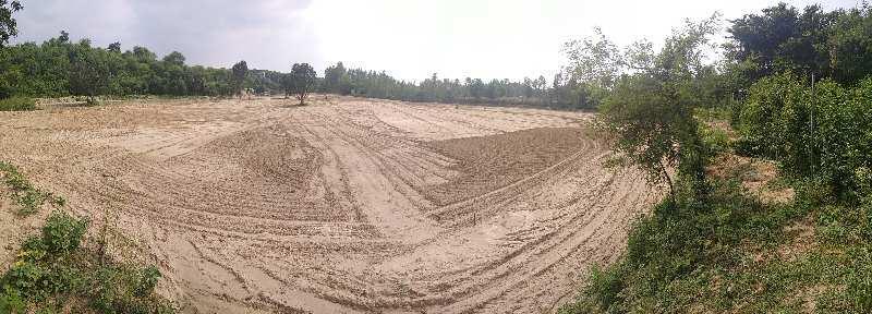 Agriculture Land for sale in hoshiarpur punjab