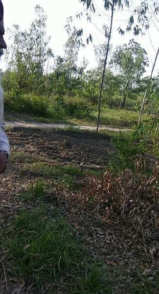 Agricultural land for sale in HOSHIARPUR punjab
