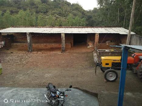 Farm house for sale with dairy farm shed