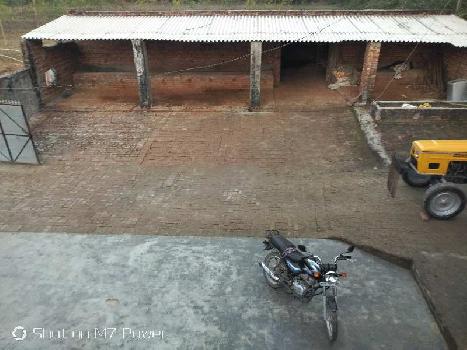 Farm house for sale with dairy farm shed