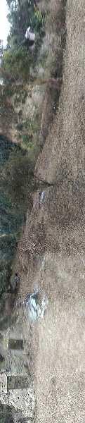 Hilly land for sale in hilly village of  Hoshiarpur