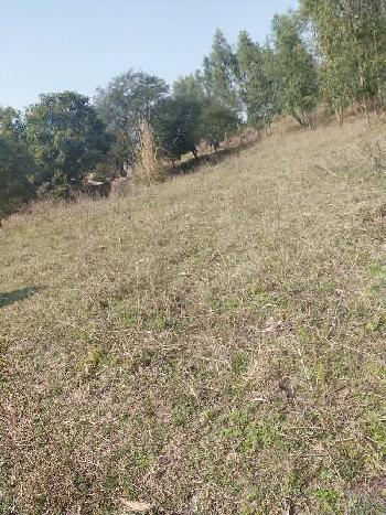 Hilly land for sale in Hoshiarpur 140 acre