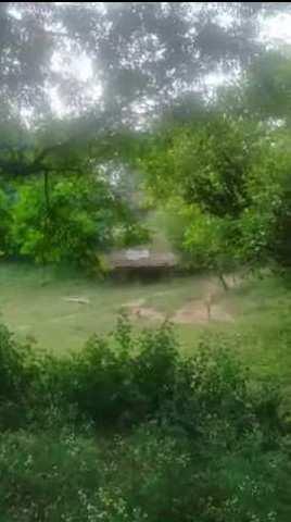 Hilly cum plain land for sale in Hoshiarpur