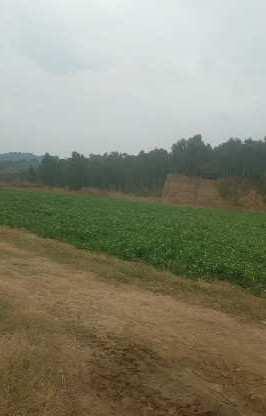 House for sale bahadurpur Hoshiarpur