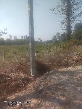 300 acre Hilly  land with trees for sale in Hoshiarpur