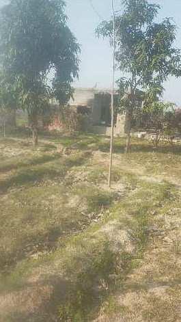 Agriculture land for sale in Hoshiarpur near haryana