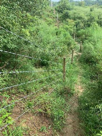 Land for sale in Balachour district Nawashare