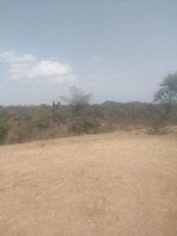 Hilly with plain land for sale in Punjab Hoshiarpur