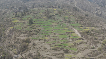 Agricultural/Farm Land for Rent in Barkot, Uttarkashi (75 Bigha)