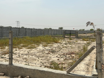 Residential Plot for Sale in Jewar, Gautam Buddha Nagar (50 Sq. Yards)