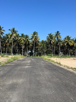 436 Sq.ft. Residential Plot for Sale in Periya Negamam, Coimbatore