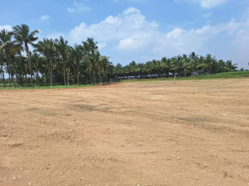 Farm land for sale - Karachery Chettipalayam, Coimbatore