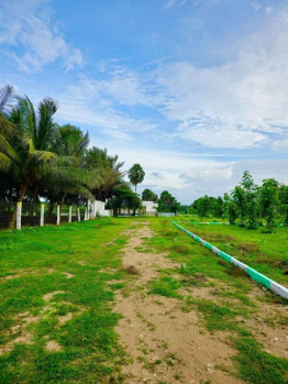 Farm.land for sale -Kinathukadavu -Coimbatore