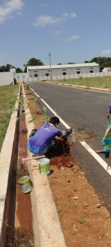 Dtcp rera approved plots - Pattanam - coimbatore