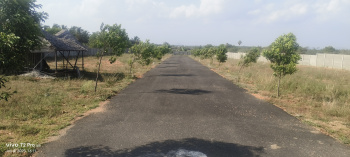 436 Sq.ft. Residential Plot for Sale in Vellakoil, Tirupur