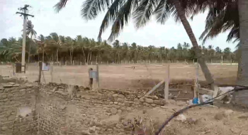 119 Cent Agricultural/Farm Land for Sale in Sankaramanallur, Tirupur