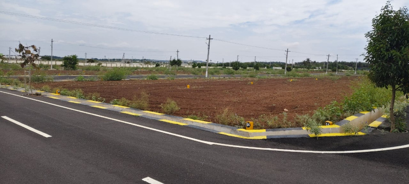 Residential Plot for Sale in Pappampatti, Coimbatore (436 Sq.ft.)