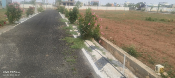Resale plots for sale - Pattanam coimbatore
