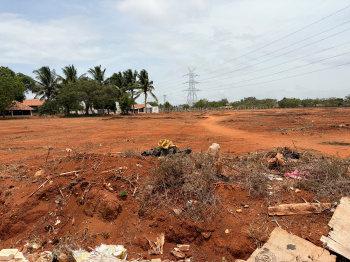 Bulk Land for sale at palladam - lay out purpose