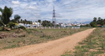 Land for sale at Othakalmandapam