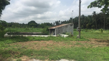 Agricultural/Farm Land for Sale in Othakalmandapam, Coimbatore (2.50 Acre)