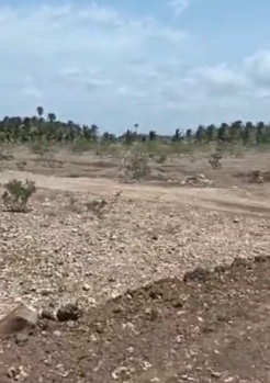 Residential Plot for Sale in Sulur, Coimbatore (1.40 Acre)