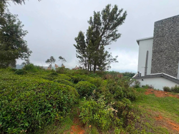 Tea estate for sale - Kothagiri