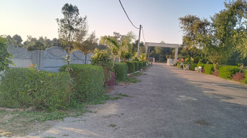 1200 Sq.ft. Residential Plot For Sale In Sultanpur Road, Lucknow