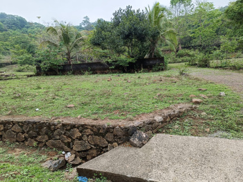 Gated Villa Plots in Kochi – Premium Residential Plots for Sale in Karukutty at Ivory County