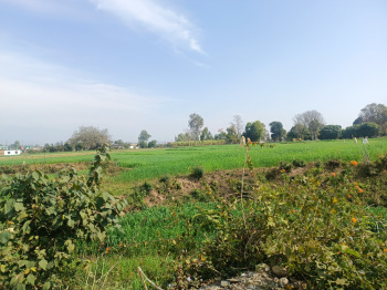 Residential Plot for Sale in Shimla Bypass, Dehradun (60 Bigha)